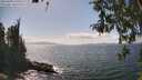 ./images/koeye/fitz-hugh/20260428/fitz-hugh20260428_151001M.jpg