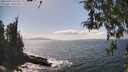 ./images/koeye/fitz-hugh/20260428/fitz-hugh20260428_151501M.jpg