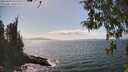 ./images/koeye/fitz-hugh/20260428/fitz-hugh20260428_152002M.jpg