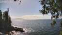 ./images/koeye/fitz-hugh/20260428/fitz-hugh20260428_152501M.jpg