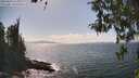 ./images/koeye/fitz-hugh/20260428/fitz-hugh20260428_153001M.jpg