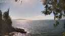 ./images/koeye/fitz-hugh/20260428/fitz-hugh20260428_154501M.jpg