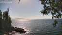 ./images/koeye/fitz-hugh/20260428/fitz-hugh20260428_155501M.jpg