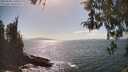 ./images/koeye/fitz-hugh/20260428/fitz-hugh20260428_160501M.jpg