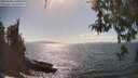 ./images/koeye/fitz-hugh/20260428/fitz-hugh20260428_161001M.jpg