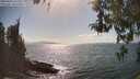 ./images/koeye/fitz-hugh/20260428/fitz-hugh20260428_161501M.jpg