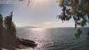 ./images/koeye/fitz-hugh/20260428/fitz-hugh20260428_162001M.jpg