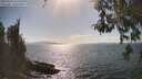 ./images/koeye/fitz-hugh/20260428/fitz-hugh20260428_162501M.jpg
