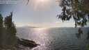 ./images/koeye/fitz-hugh/20260428/fitz-hugh20260428_163001M.jpg