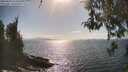 ./images/koeye/fitz-hugh/20260428/fitz-hugh20260428_163502M.jpg
