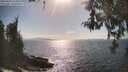 ./images/koeye/fitz-hugh/20260428/fitz-hugh20260428_164001M.jpg