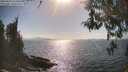 ./images/koeye/fitz-hugh/20260428/fitz-hugh20260428_164501M.jpg