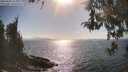 ./images/koeye/fitz-hugh/20260428/fitz-hugh20260428_165001M.jpg