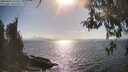 ./images/koeye/fitz-hugh/20260428/fitz-hugh20260428_165501M.jpg
