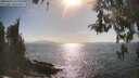 ./images/koeye/fitz-hugh/20260428/fitz-hugh20260428_170001M.jpg