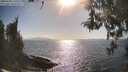 ./images/koeye/fitz-hugh/20260428/fitz-hugh20260428_170501M.jpg