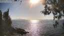 ./images/koeye/fitz-hugh/20260428/fitz-hugh20260428_171002M.jpg