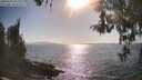 ./images/koeye/fitz-hugh/20260428/fitz-hugh20260428_171501M.jpg