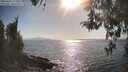./images/koeye/fitz-hugh/20260428/fitz-hugh20260428_172001M.jpg