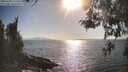 ./images/koeye/fitz-hugh/20260428/fitz-hugh20260428_172501M.jpg