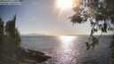 ./images/koeye/fitz-hugh/20260428/fitz-hugh20260428_173001M.jpg