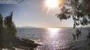 ./images/koeye/fitz-hugh/20260428/fitz-hugh20260428_173502M.jpg