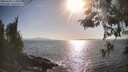 ./images/koeye/fitz-hugh/20260428/fitz-hugh20260428_174002M.jpg