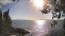 ./images/koeye/fitz-hugh/20260428/fitz-hugh20260428_174501M.jpg