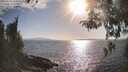 ./images/koeye/fitz-hugh/20260428/fitz-hugh20260428_175002M.jpg