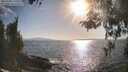 ./images/koeye/fitz-hugh/20260428/fitz-hugh20260428_175501M.jpg
