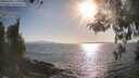 ./images/koeye/fitz-hugh/20260428/fitz-hugh20260428_180001M.jpg