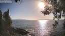 ./images/koeye/fitz-hugh/20260428/fitz-hugh20260428_180501M.jpg