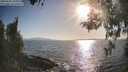./images/koeye/fitz-hugh/20260428/fitz-hugh20260428_181001M.jpg