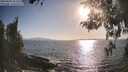 ./images/koeye/fitz-hugh/20260428/fitz-hugh20260428_181501M.jpg