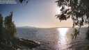 ./images/koeye/fitz-hugh/20260428/fitz-hugh20260428_183001M.jpg
