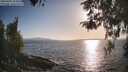 ./images/koeye/fitz-hugh/20260428/fitz-hugh20260428_183501M.jpg