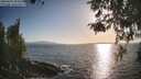./images/koeye/fitz-hugh/20260428/fitz-hugh20260428_184501M.jpg