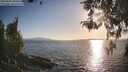 ./images/koeye/fitz-hugh/20260428/fitz-hugh20260428_185501M.jpg