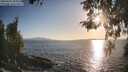 ./images/koeye/fitz-hugh/20260428/fitz-hugh20260428_190001M.jpg