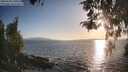 ./images/koeye/fitz-hugh/20260428/fitz-hugh20260428_191001M.jpg