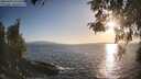 ./images/koeye/fitz-hugh/20260428/fitz-hugh20260428_191501M.jpg