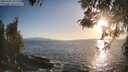 ./images/koeye/fitz-hugh/20260428/fitz-hugh20260428_192001M.jpg