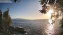 ./images/koeye/fitz-hugh/20260428/fitz-hugh20260428_192501M.jpg