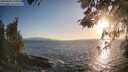 ./images/koeye/fitz-hugh/20260428/fitz-hugh20260428_193001M.jpg