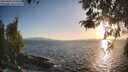 ./images/koeye/fitz-hugh/20260428/fitz-hugh20260428_193501M.jpg