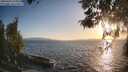 ./images/koeye/fitz-hugh/20260428/fitz-hugh20260428_194001M.jpg