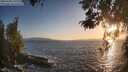 ./images/koeye/fitz-hugh/20260428/fitz-hugh20260428_195501M.jpg