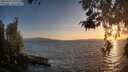 ./images/koeye/fitz-hugh/20260428/fitz-hugh20260428_201001M.jpg
