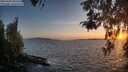 ./images/koeye/fitz-hugh/20260428/fitz-hugh20260428_203501M.jpg