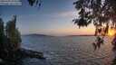 ./images/koeye/fitz-hugh/20260428/fitz-hugh20260428_204501M.jpg